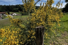 Wandertage_Rhoen_2024_1_00035