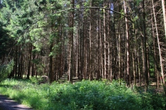 Wandertage_Rhoen_2024_1_00040