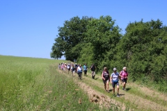 Wandertage_Rhoen_2024_1_00050