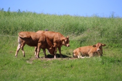 Wandertage_Rhoen_2024_1_00052