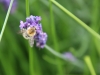 Wanderung_20180624_046