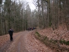 Wanderung_20181230_035