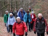 Wanderung_20181230_050