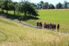 Wanderung_20190630_10