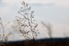 Wanderung_20190721_28