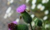 Wanderung_20190721_44