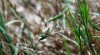 Wanderung_20190721_55