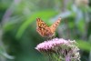 Wanderung_20190721_94