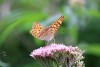 Wanderung_20190721_95