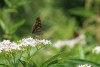 Wanderung_20190721_96