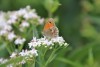 Wanderung_20190721_97