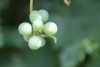 Wanderung_20190818_38