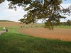 Wanderung_20191013_42