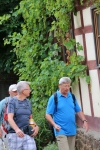Wanderung_20200726_047