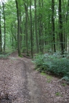Wanderung_20200726_087