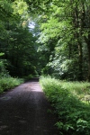 Wanderung_20200726_098