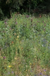 Wanderung_20200823_042
