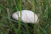 Wanderung_20200823_124