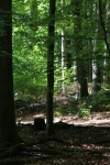 Wanderung_20200823_126