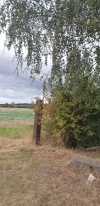 Wanderung_20200927_16