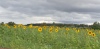 Wanderung_20200927_17