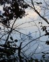Wanderung_20201011_002