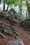 Wanderung_20201011_009