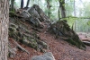 Wanderung_20201011_010