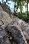 Wanderung_20201011_013