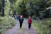 Wanderung_20201011_033