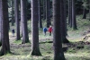 Wanderung_20201011_035