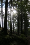 Wanderung_20201011_047