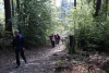 Wanderung_20201011_065