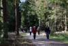Wanderung_20201011_071