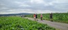 Wanderung_20210521_04