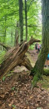 Wanderung_20210521_05