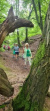 Wanderung_20210521_13