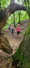 Wanderung_20210521_15