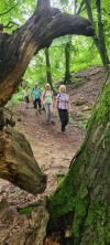 Wanderung_20210521_16