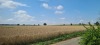 Wanderung_20210521_32