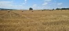 Wanderung_20210521_40
