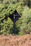 Wanderung_20210926_19