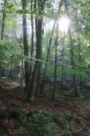 Wanderung_20210926_21