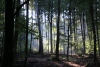 Wanderung_20210926_22