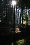 Wanderung_20210926_23