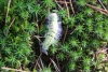Wanderung_20210926_45