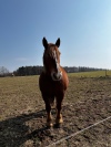 Wanderung_20220320_07