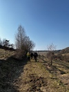 Wanderung_20220320_20