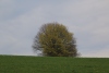 Wanderung_20220424_53