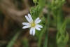 Wanderung_20220424_60